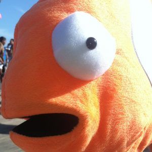 Meet your Posher, Roe